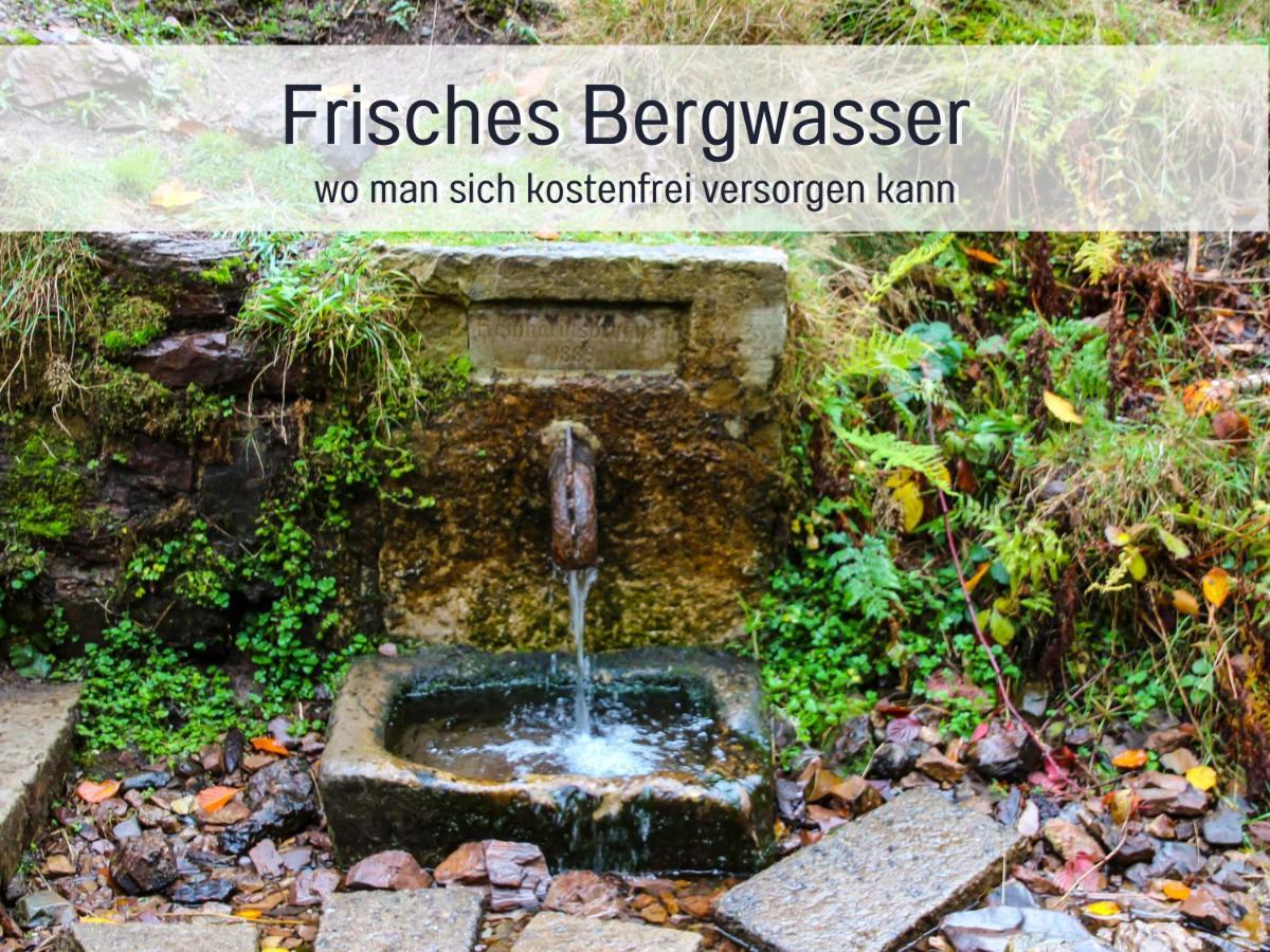 Marks Ferienwohnung In Bad Sachsa - Waldnah, Hundefreundlich, Ruhig! Ideal Fuer Paare Mit Hund Exterior foto