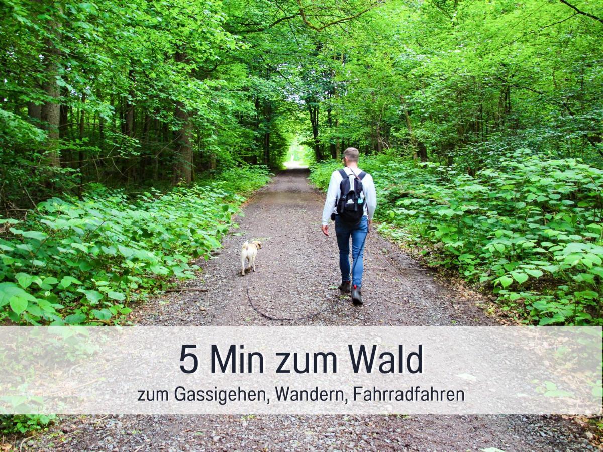 Marks Ferienwohnung In Bad Sachsa - Waldnah, Hundefreundlich, Ruhig! Ideal Fuer Paare Mit Hund Exterior foto